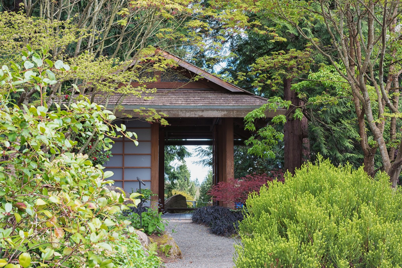 Bellevue Botanical Garden in spring