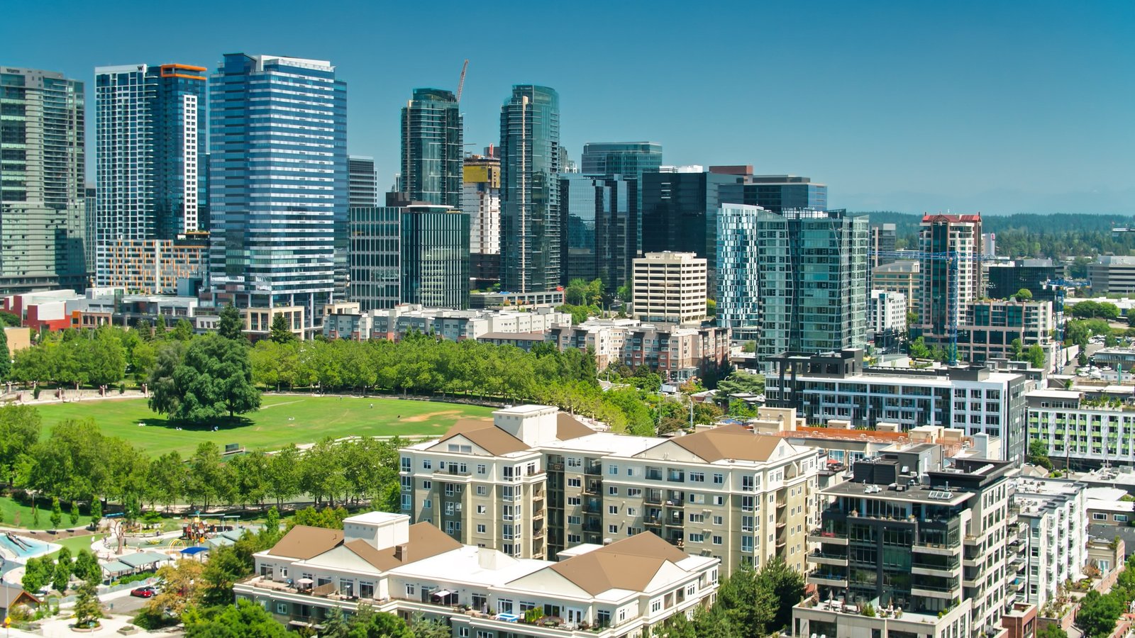 Bellevue downtown towers above Downtown Park