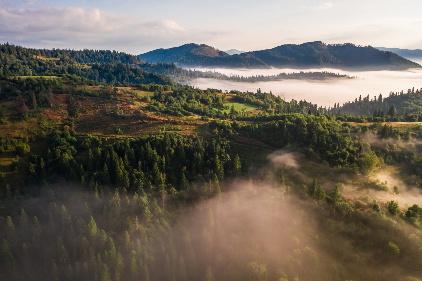 Misty Cascades foothills at dawn