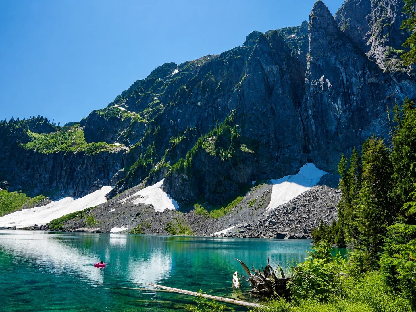 Forest and river in the Skykomish Valley