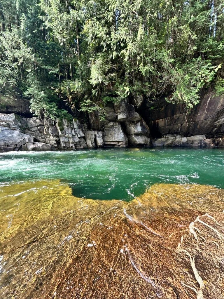 Turquoise river flowing through evergreen forest
