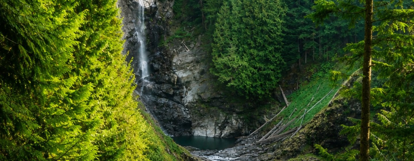 Waterfall in evergreen forest near Skykomish Valley