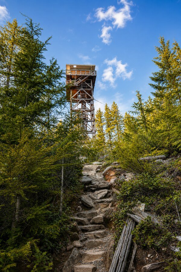 Forest lookout tower on a rocky ridge